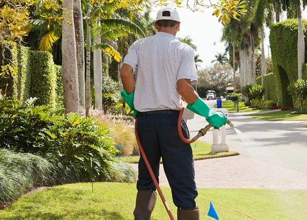 About Yorktown VA Pest Control